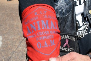 DSC_0154.resized.web 